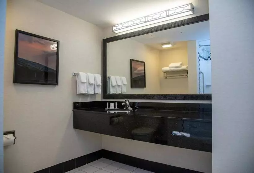 キングサイズベッドのスタンダードルーム, Fairfield Inn & Suites Lewisburg