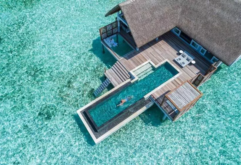 ویلای یک اتاق خوابه با استخر شنا, Four Seasons Resort Maldives At Landaa Giraavaru