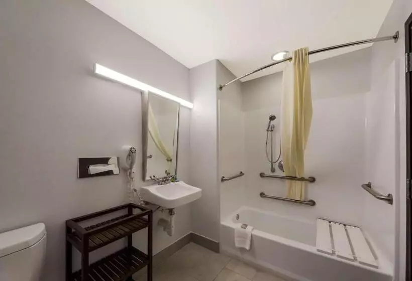 身障者適用スイートルーム, Best Western Seaworld San Antonio