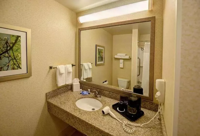 クイーンサイズベッドのスタンダードルーム, Fairfield Inn & Suites By Marriott Wausau