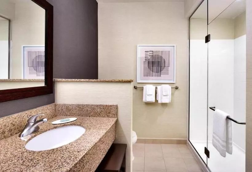 キングサイズベッドのスタンダードルーム, Courtyard By Marriott Houston Nasa Clear Lake