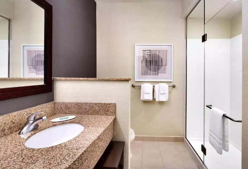 キングサイズベッドのスイートルーム, Courtyard By Marriott Houston Nasa Clear Lake