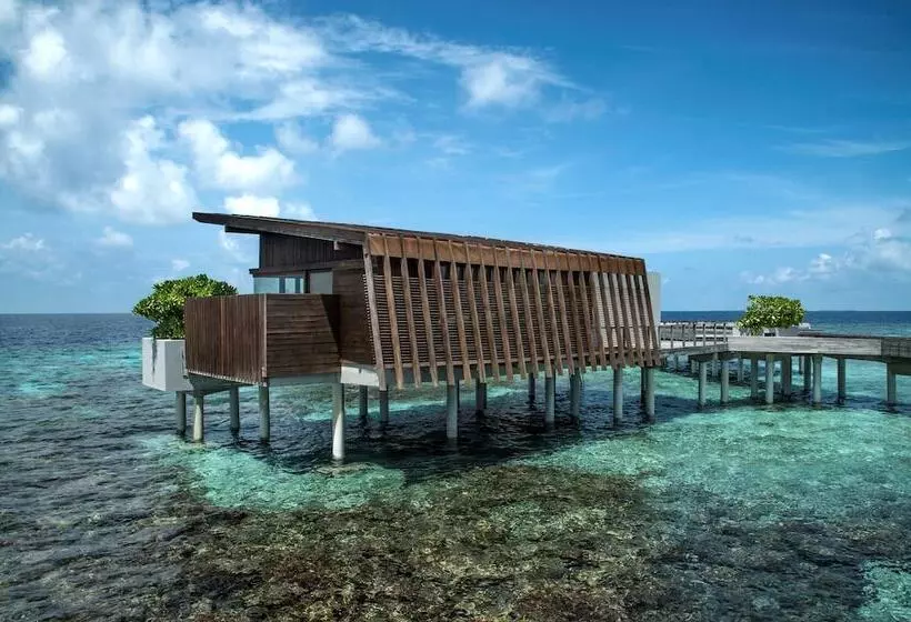 ویلای 1 خوابه, Park Hyatt Maldives Hadahaa