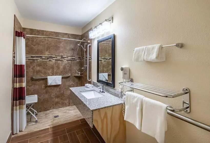 身障者適用スーペリアールーム, Red Roof Inn Buffalo, Tx