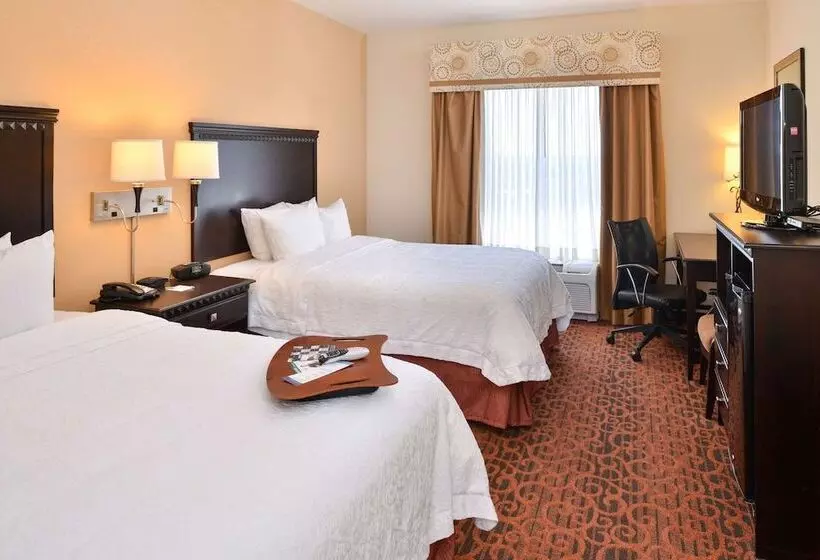 スタンダードルーム, Hampton Inn Pecos