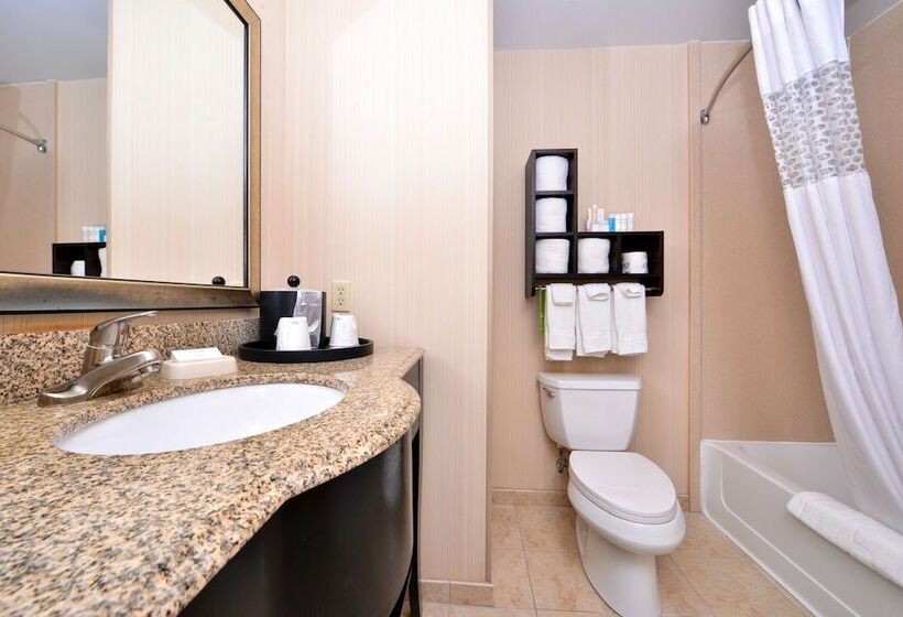 Номер Стандарт, Hampton Inn Pecos