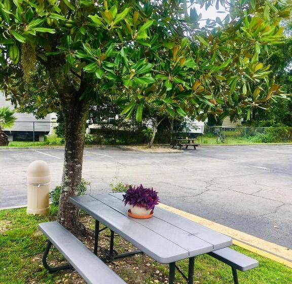 חדר סטנדרט מיטה זוגית, Americas Best Value Inn Lake City