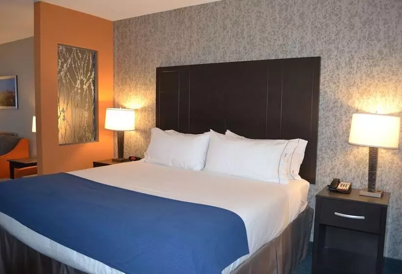 スタンダードルーム, Holiday Inn Express Hotel & Suites Knoxville, An Ihg