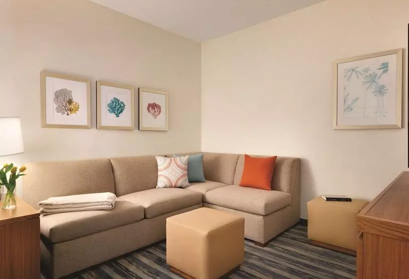 ベーシックワンルーム, Hyatt House Virginia Beach/oceanfront