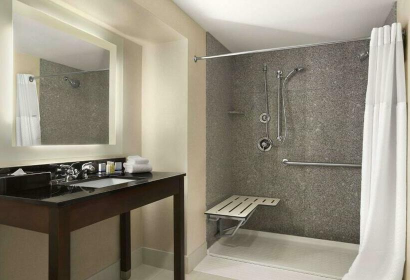 스탠다드 룸 킹사이즈 침대, Wingate By Wyndham Bismarck