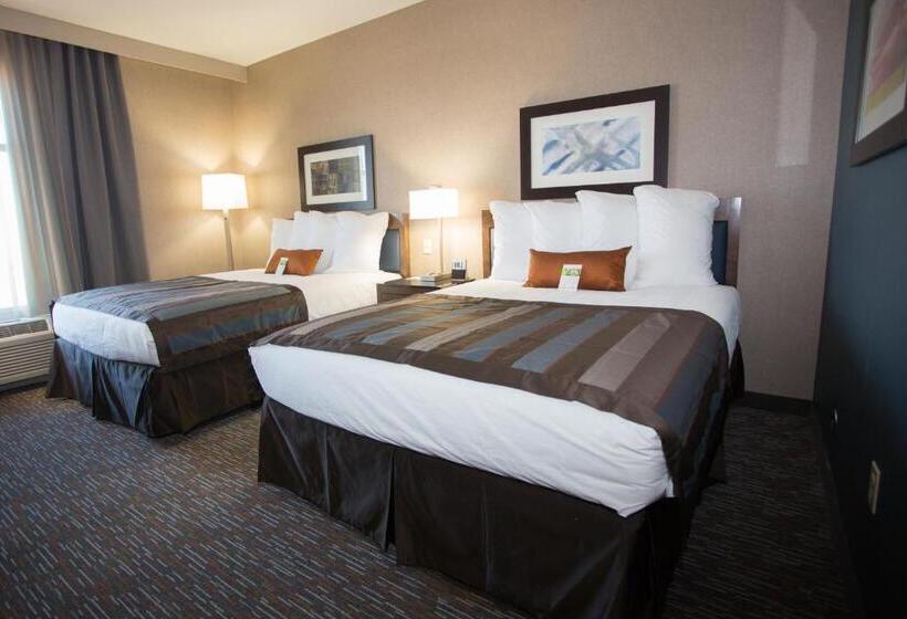 장애인을 위한 스탠다드 룸, Wingate By Wyndham Bismarck