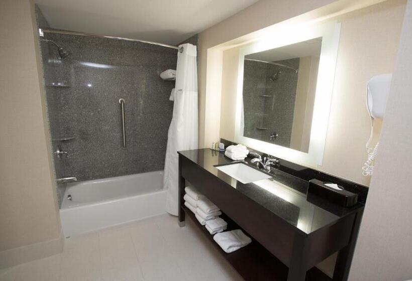 스탠다드 룸 킹사이즈 침대, Wingate By Wyndham Bismarck