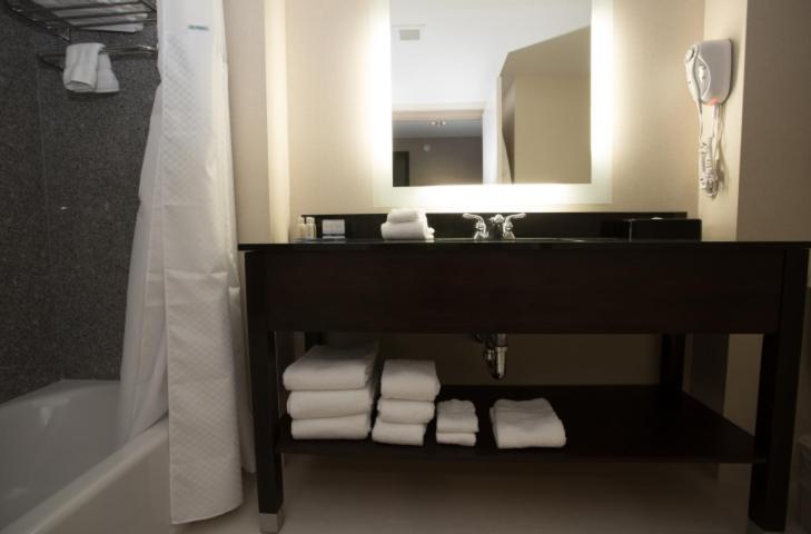 스탠다드 룸 킹사이즈 침대, Wingate By Wyndham Bismarck