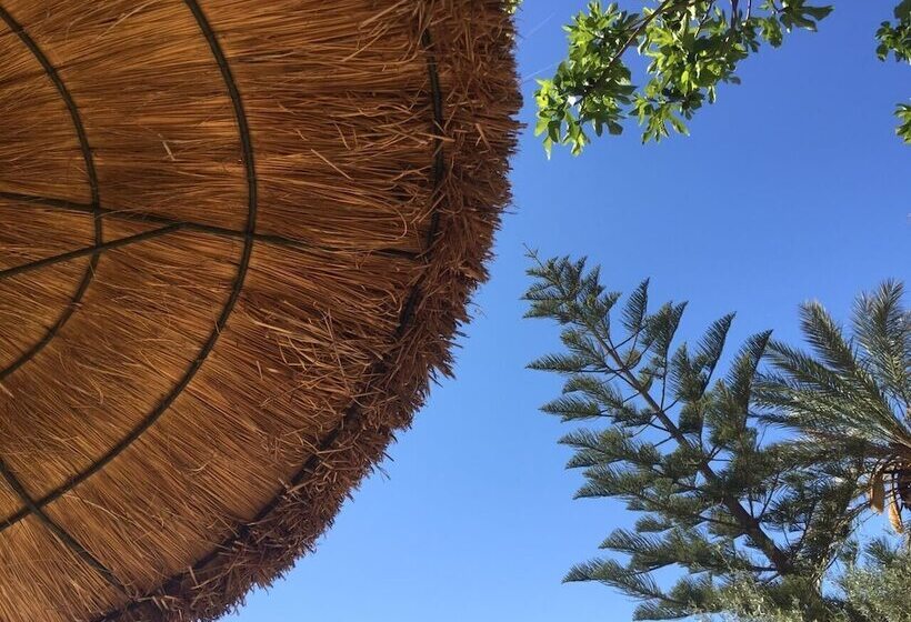 Номер Стандарт, Agroturisme Son Barceló Mas