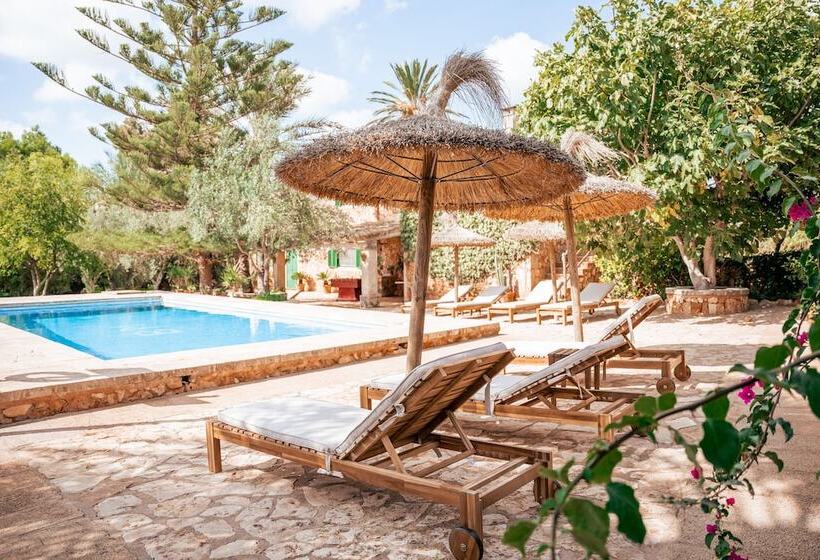 غرفة قياسية, Agroturisme Son Barceló Mas