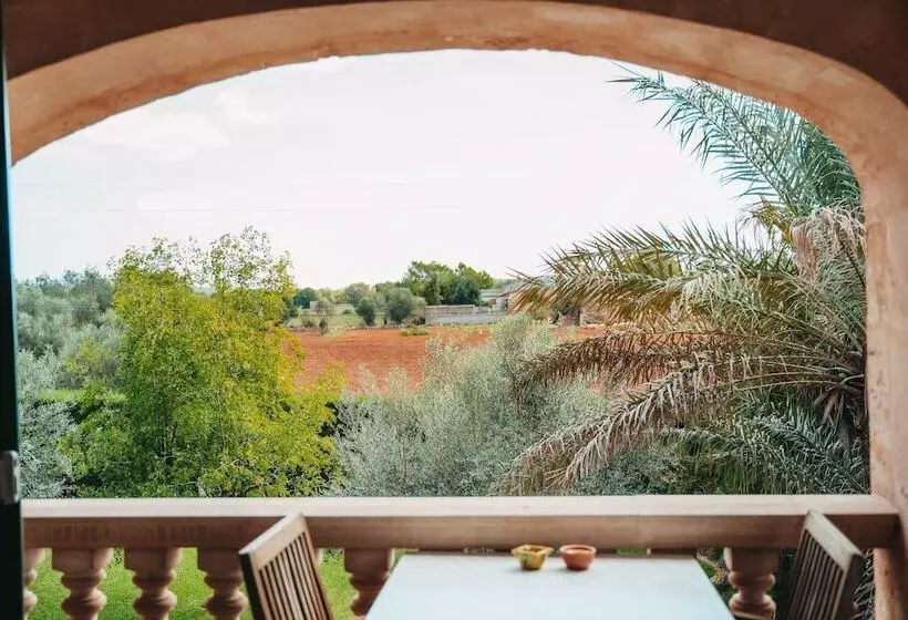 اتاق استاندارد با تراس, Agroturisme Son Barceló Mas