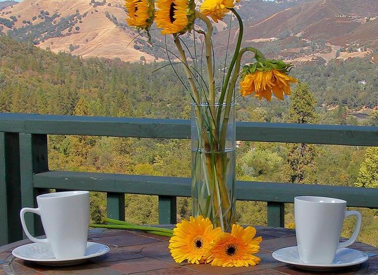 סוויטה נוף לבריכה, Bella Vista Bed And Breakfast