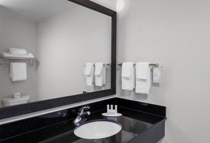 Студия Стандарт, Fairfield Inn & Suites By Marriott Wichita Downtown