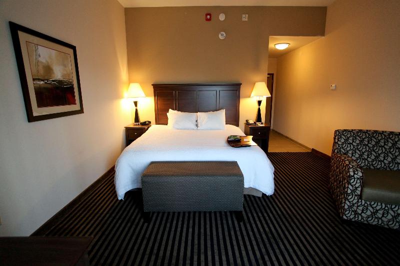 غرفة قياسية سرير كينج, Hampton Inn Atmore