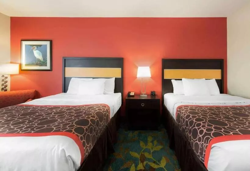 身障者適用スタンダードルーム, La Quinta By Wyndham Leesville Ft. Polk