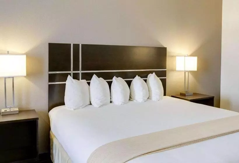 キングサイズベッドのスタンダードルーム, Quality Inn & Suites Bryan College Station