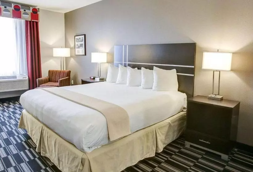 キングサイズベッドのスタンダードルーム, Quality Inn & Suites Bryan College Station