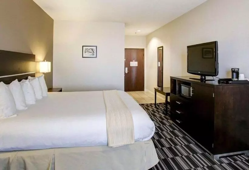 キングサイズベッドのスタンダードルーム, Quality Inn & Suites Bryan College Station