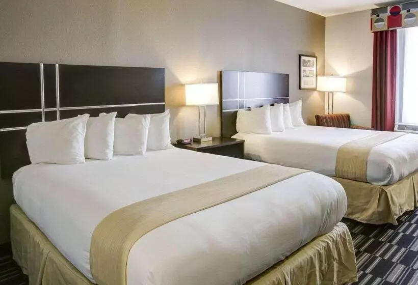 スタンダードルーム, Quality Inn & Suites Bryan College Station