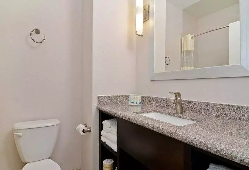 身障者適用スイートルーム, Quality Inn & Suites Bryan College Station