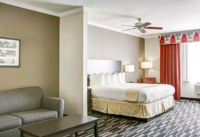 身障者適用スイートルーム, Quality Inn & Suites Bryan College Station