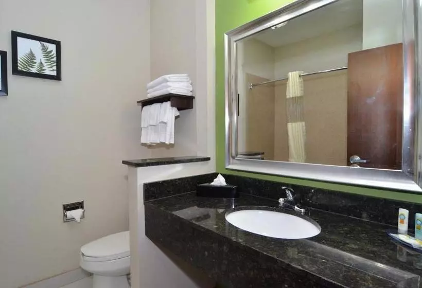 Sviitti King-vuode, Quality Inn & Suites Kenedy Karnes City