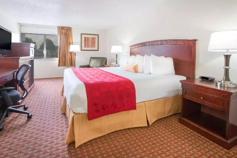 سوئیت جونیور با تخت بزرگ, Skyler Syracuse Tapestry Collection By Hilton