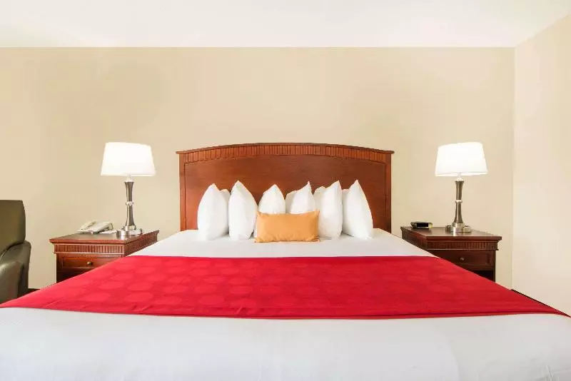 سوئیت جونیور با تخت بزرگ, Skyler Syracuse Tapestry Collection By Hilton