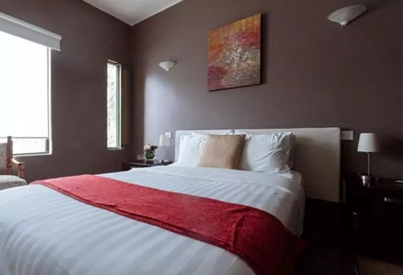 اتاق لوکس, Villa Condesa