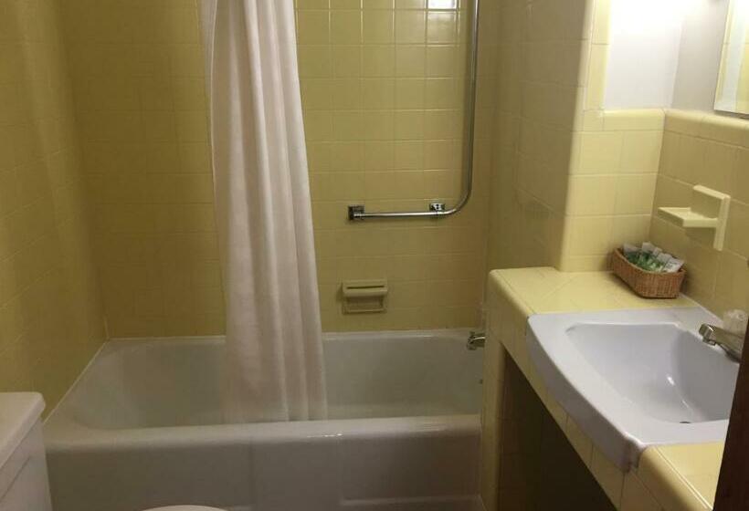 غرفة قياسية سرير كينج, Mansion House Motel