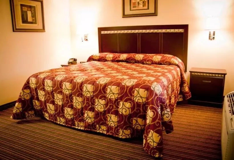 اتاق استاندارد با تخت بزرگ, Whispering Palms Inn
