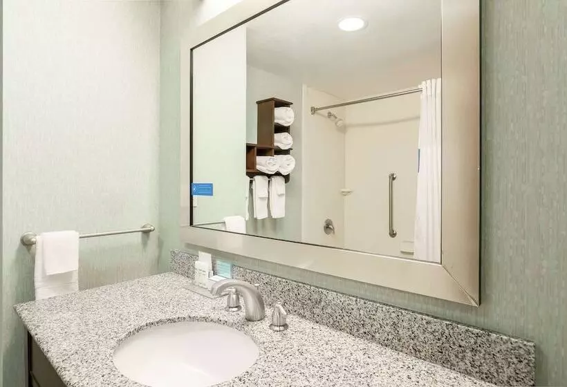 身障者適用スタンダードルーム, Hampton Inn & Suites Wheelingthe Highlands