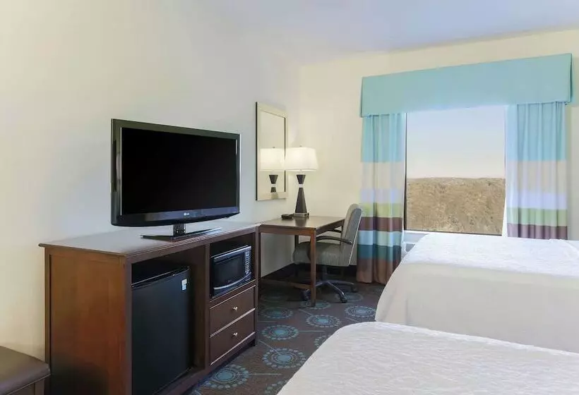 身障者適用スタンダードルーム, Hampton Inn & Suites Wheelingthe Highlands