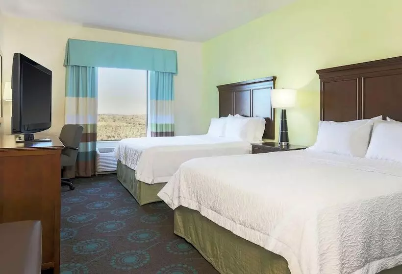 身障者適用スタンダードルーム, Hampton Inn & Suites Wheelingthe Highlands
