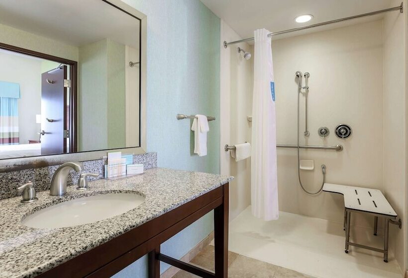 Номер Стандарт Адаптированный для Инвалидов, Hampton Inn & Suites Wheelingthe Highlands