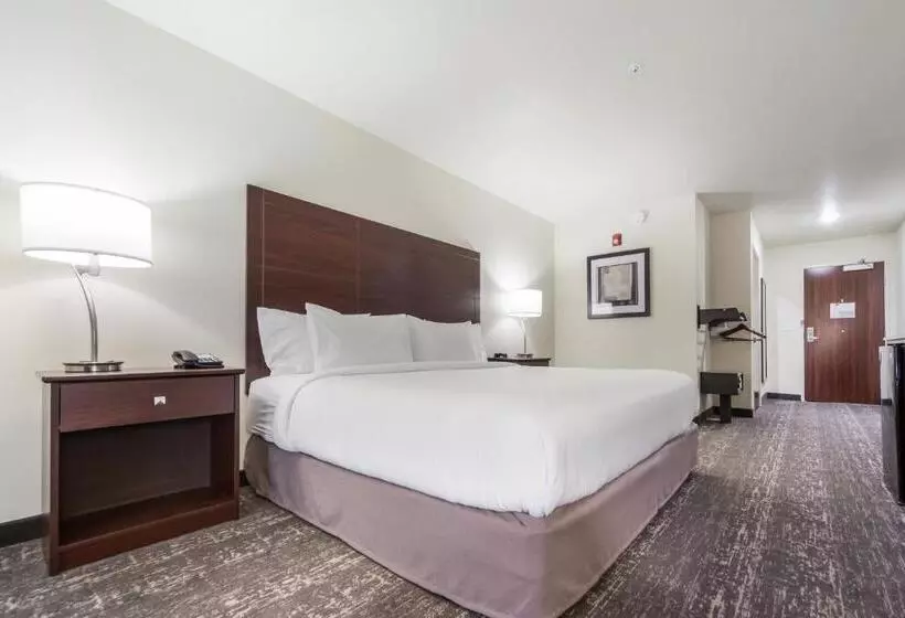 スタンダードスタジオ, Cobblestone Hotel & Suites Seward