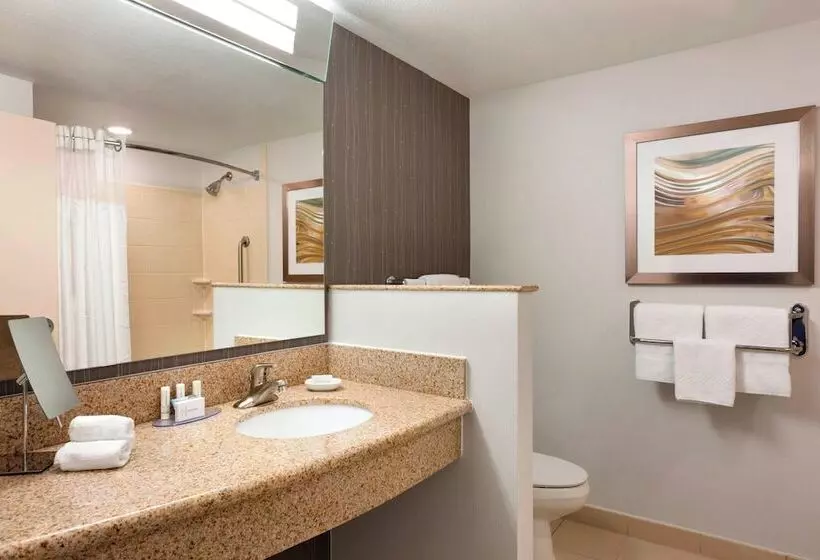 ２ダブルベッドのスタンダードルーム, Courtyard By Marriott Fort Smith Downtown