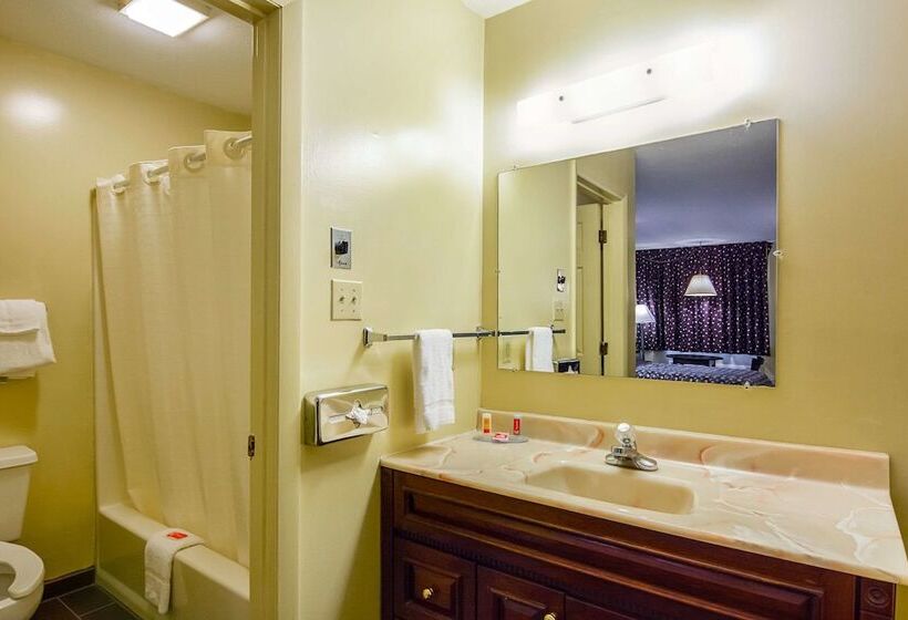 غرفه قياسيه سريرين مزدوجين, Econo Lodge Woodstock  Shenandoah Valley I 81