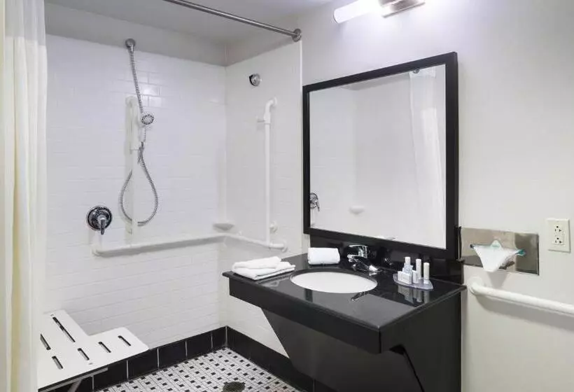 キングサイズベッドのスタンダードルーム, Fairfield Inn & Suites Kansas City Overland Park