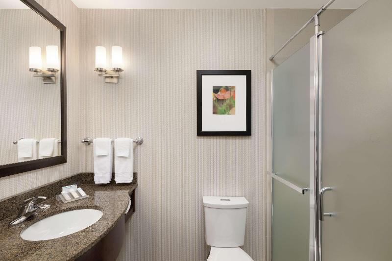 חדר סטנדרט עם מיטת קינג, Hilton Garden Inn Stony Brook