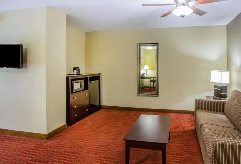 キングサイズベッドのスイートルーム, Quality Suites Nashville Airport