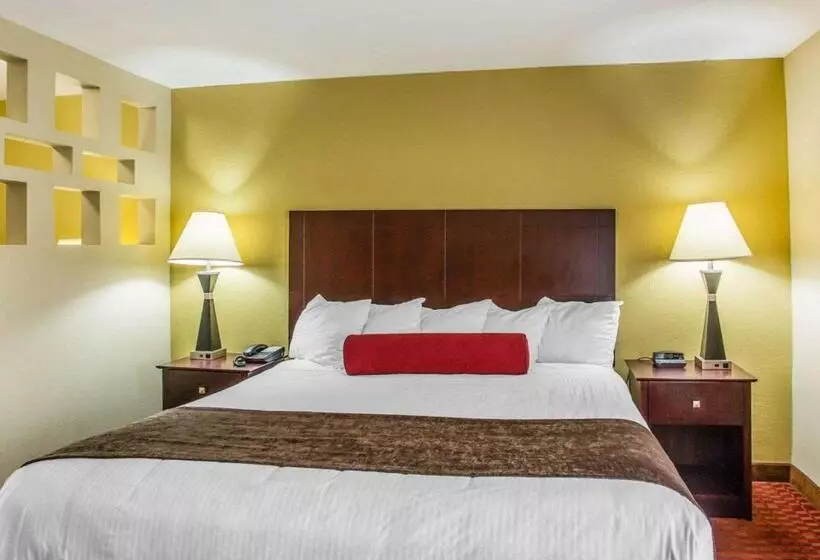 キングサイズベッドのスイートルーム, Quality Suites Nashville Airport