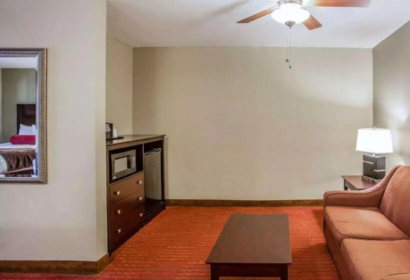 スイート, Quality Suites Nashville Airport