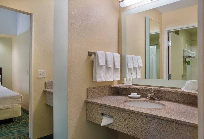 Люкс, Springhill Suites St Petersburg Clearwater