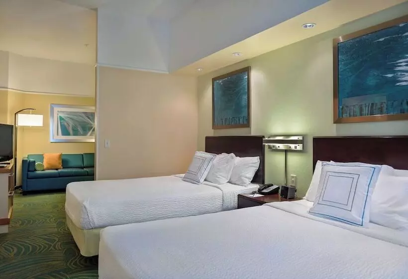 スイート, Springhill Suites St Petersburg Clearwater